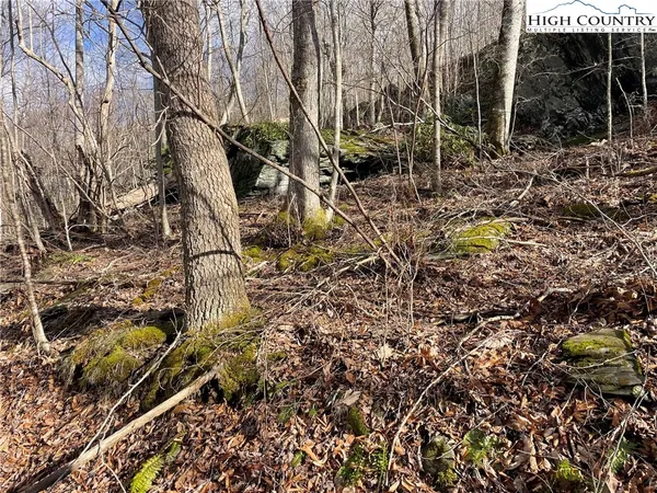 $37,500 | Overlook Lane, Todd, NC 28684