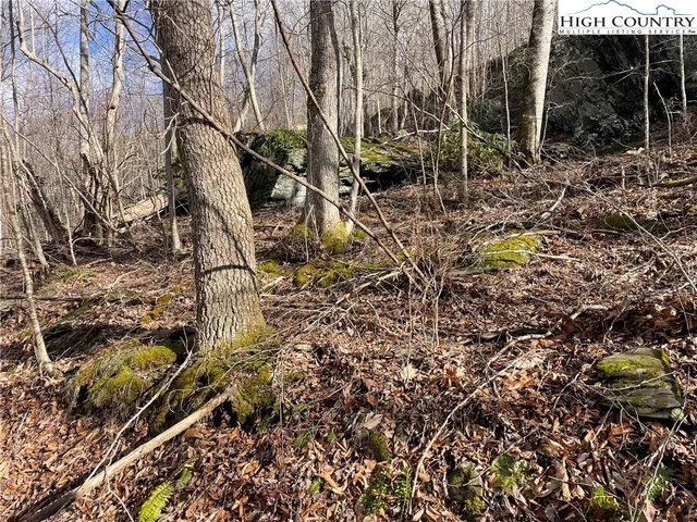 $39,000 | Overlook Lane, Todd, NC 28684