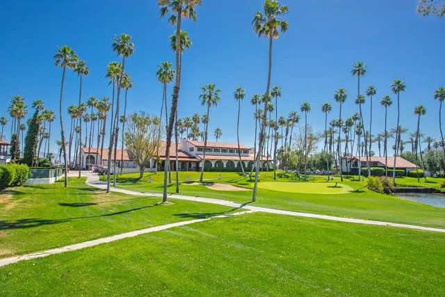 a view of a park with a palm tree