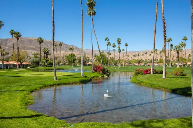a view of a park with large trees
