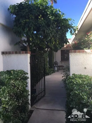 a view of backyard and garden