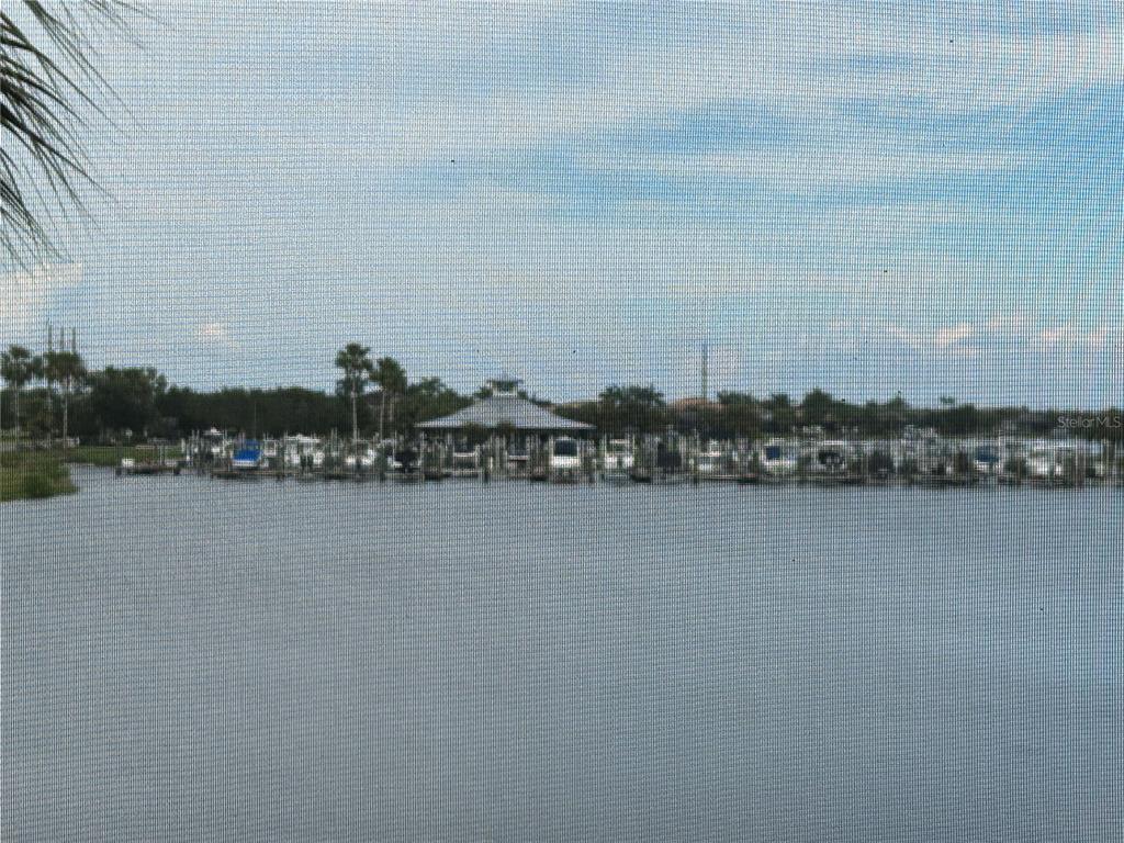 1139 Riverscape Street, Unit 1139 Bradenton, FL 34208 - Photo 36 of 45 a view of a lake