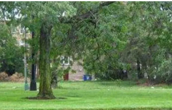 a view of a backyard