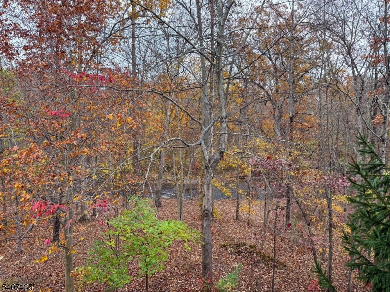 139 Riveredge Drive, Unit 139 Chatham, NJ 07928 - Photo 30 of 32 a backyard of a house with lots of green space