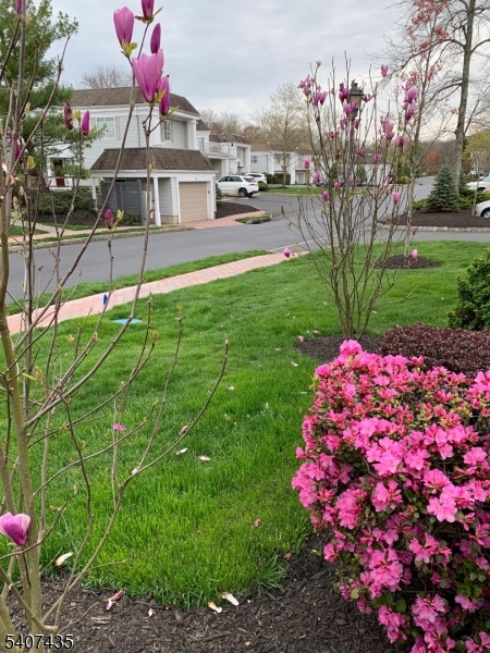 139 Riveredge Drive, Unit 139 Chatham, NJ 07928 - Photo 31 of 32 a front view of house with yard and outdoor seating
