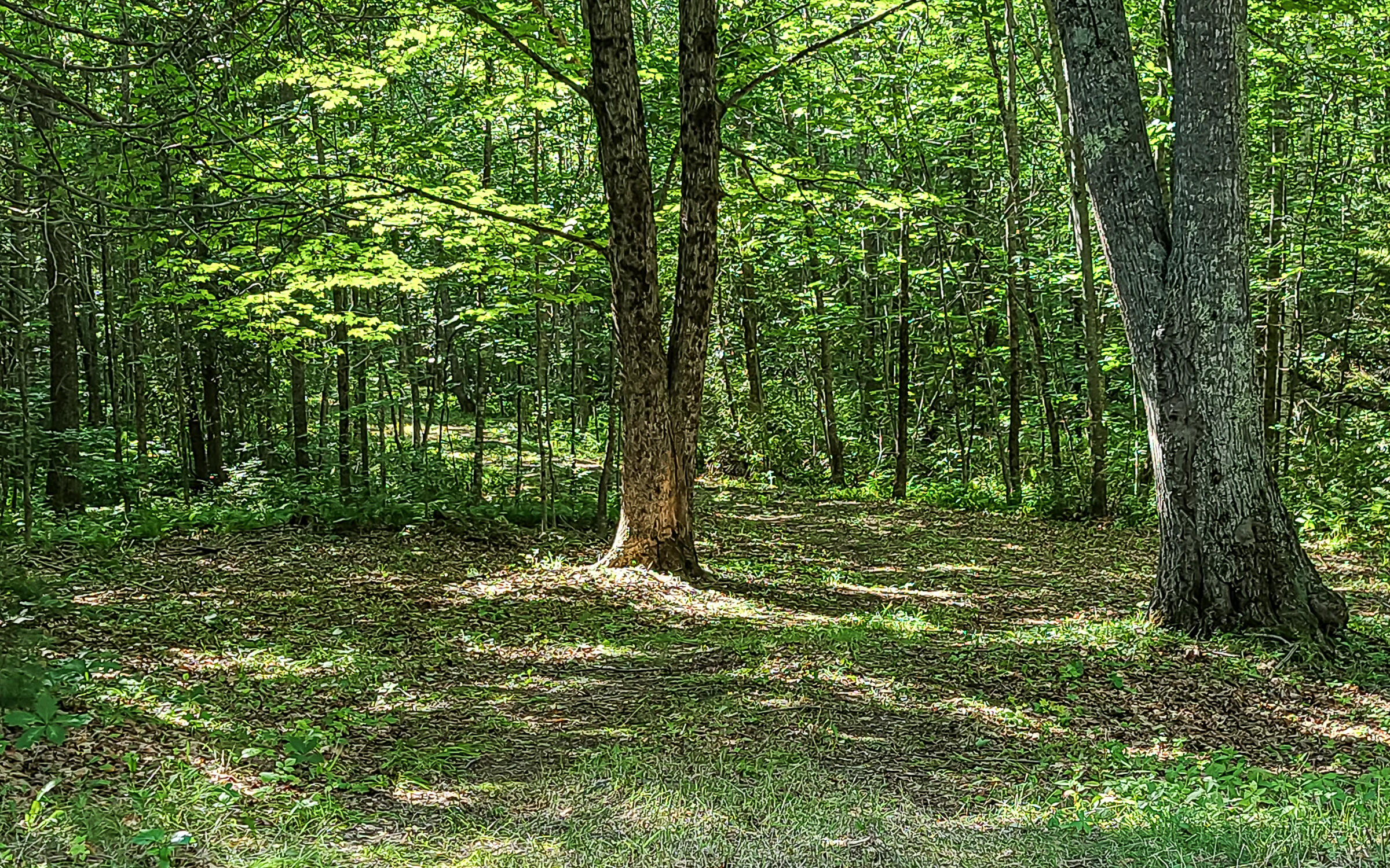 0 East Pittston Road Dresden, ME 04342 - Photo 16 of 37 108454-grsd-103