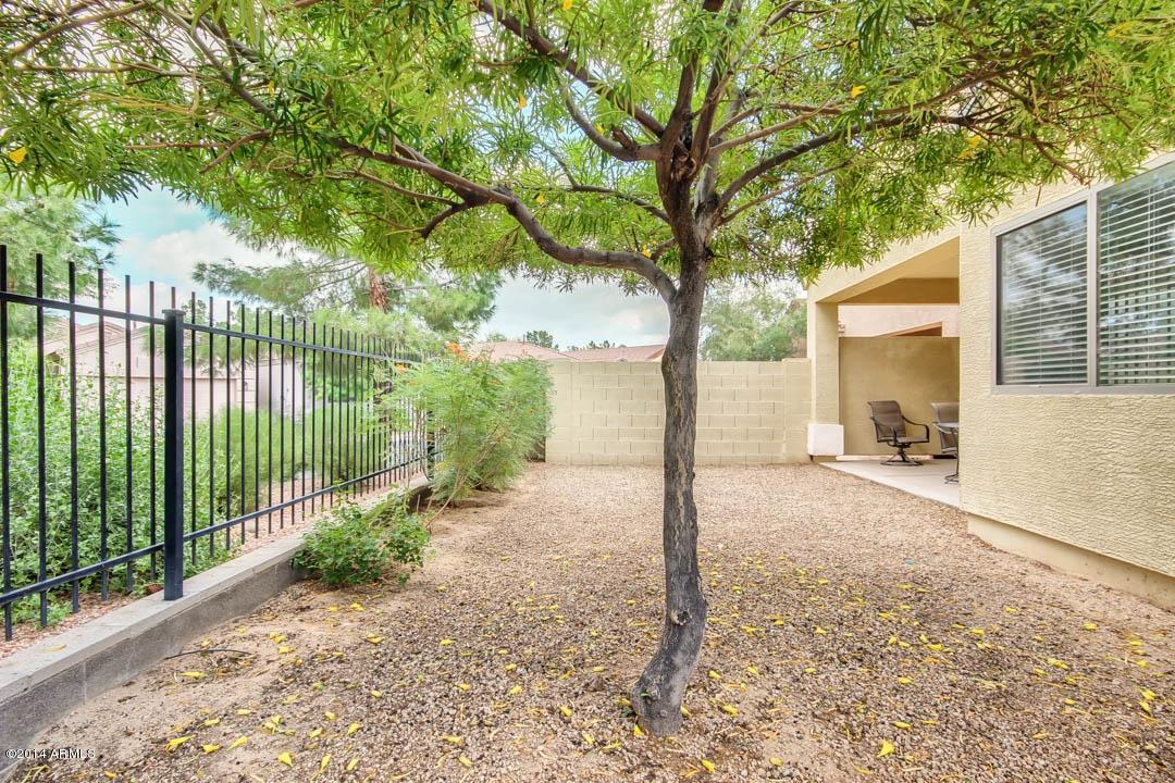 3308 East Fremont Road Phoenix, AZ 85042 - Photo 23 of 28 Fremont-24