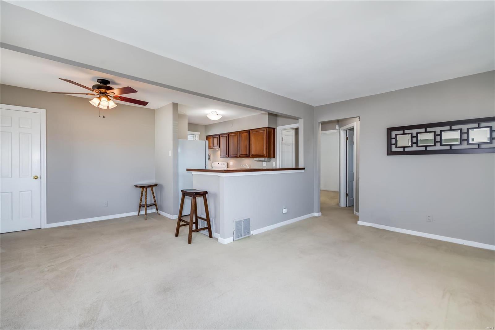 4125 Weber Road St. Louis, MO 63123 - Photo 5 of 20