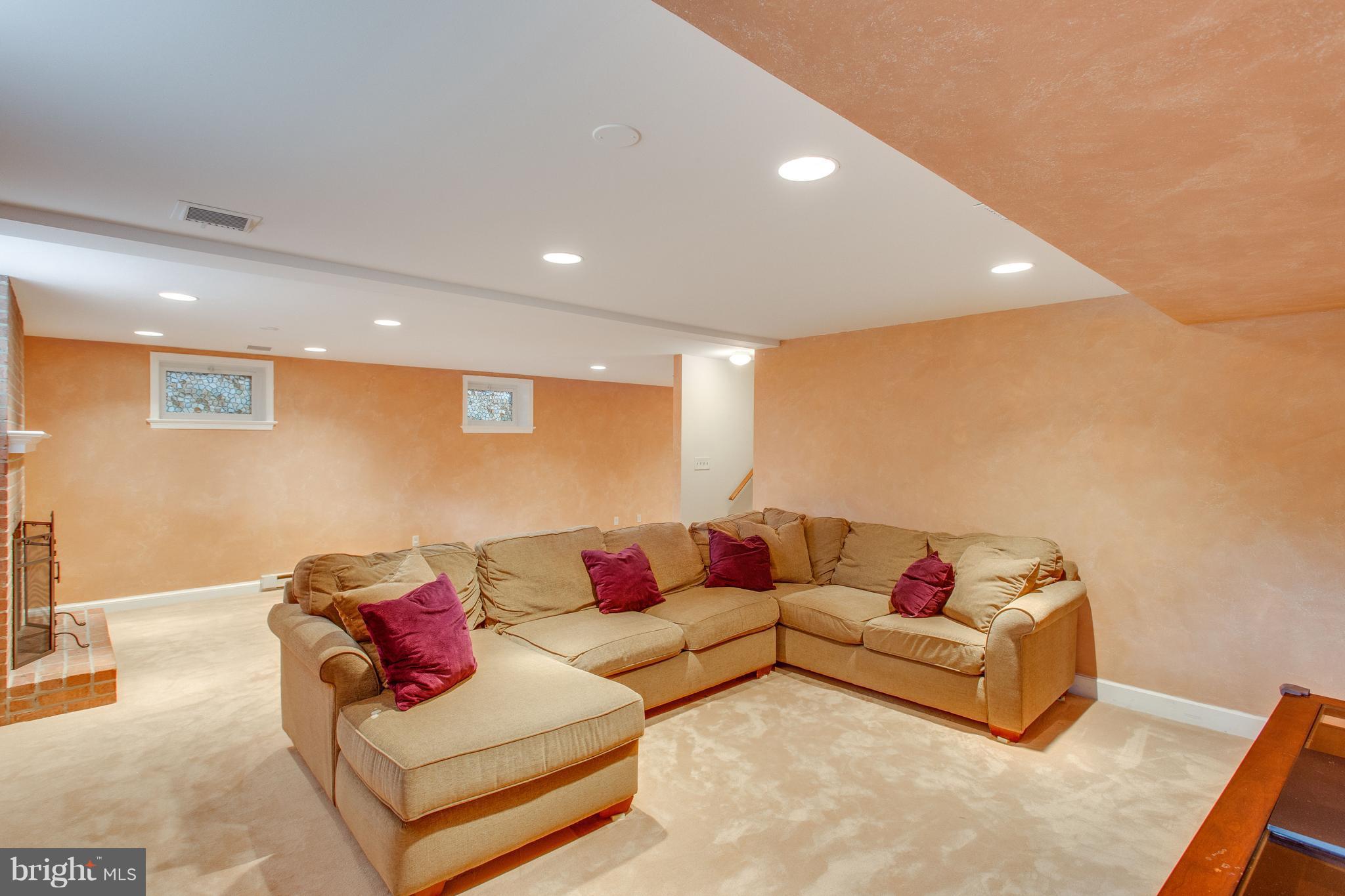 1004 Vassar Road Alexandria, VA 22314 - Photo 18 of 29 Rec Room w/Recessed Lighting