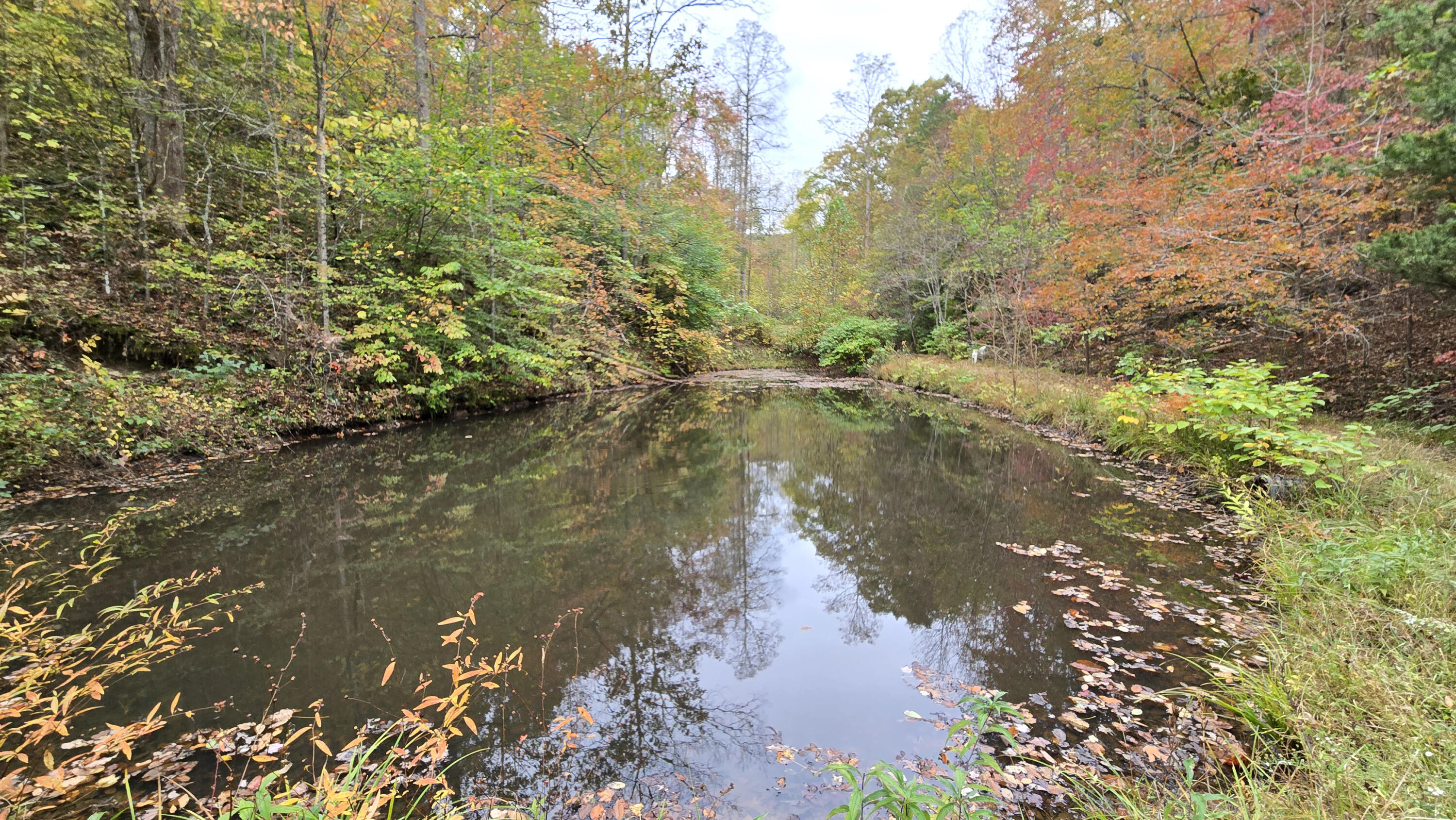 1973 Gum Branch Road Manchester, KY 40962 - Photo 25 of 36 58