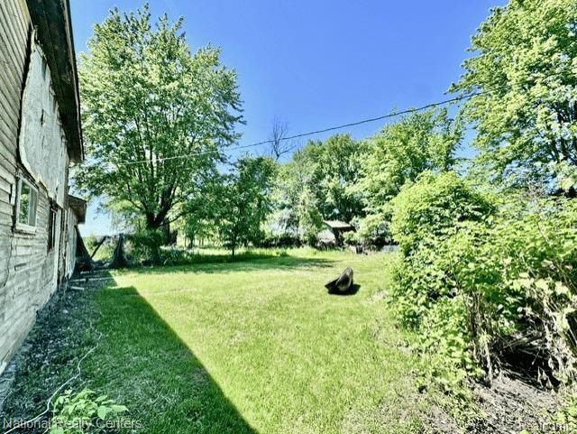 4800 Fargo Road Croswell, MI 48422 - Photo 2 of 5