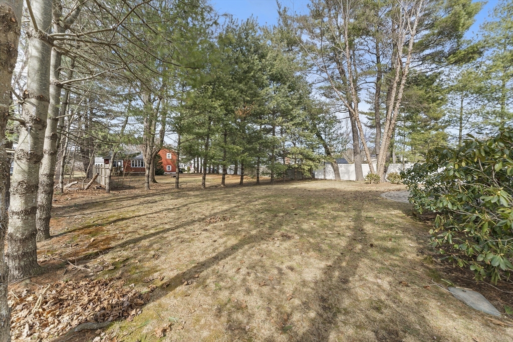 74 Evelyn Road Needham, MA 02494 - Photo 41 of 42