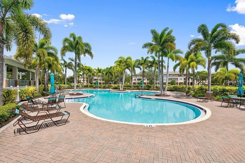 10002 Key Haven Road, Unit 204 Seminole, FL 33777 - Photo 71 of 73