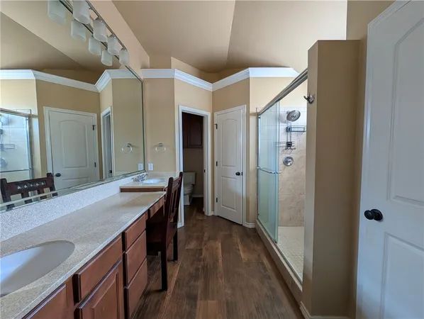 a bathroom with a sink a mirror and a shower