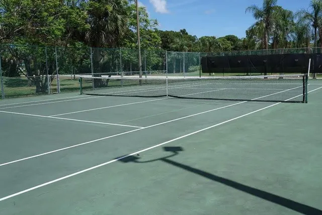 a view of a tennis ground with large trees