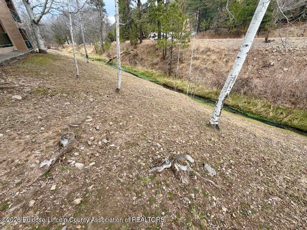 904 Carrizo Canyon Road, Unit 125 Ruidoso, NM 88345 - Photo 23 of 37 Gallery Image 23