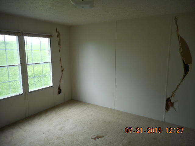 1545 McConnell Road Greenback, TN 37742 - Photo 12 of 13 DSCN9188