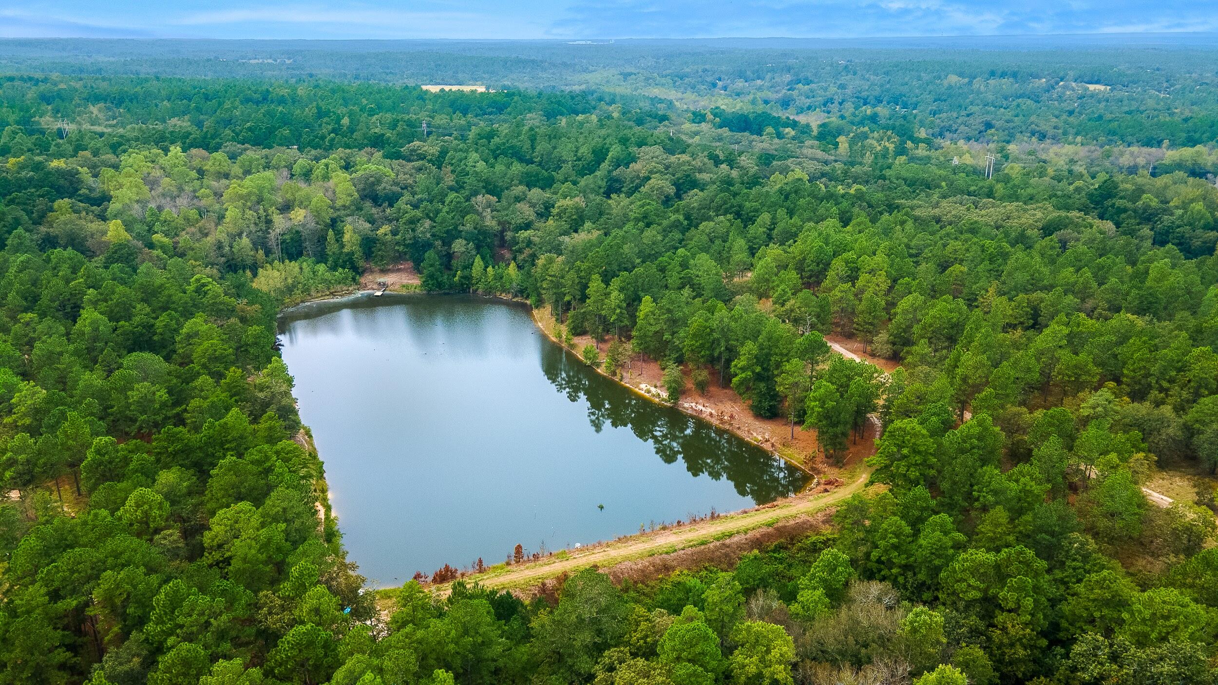 411 Snipes Pond Road Aiken, SC 29805 - Photo 18 of 23