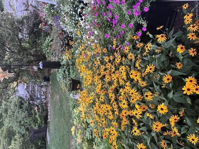 611 Decatur Avenue Peekskill, NY 10566 - Photo 48 of 50 Gardens in bloom.