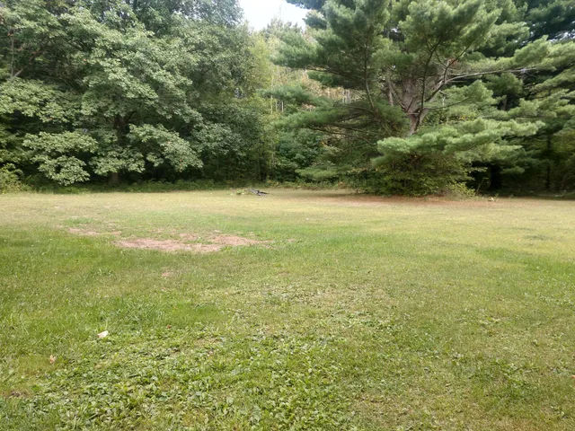 $319,900 | 8653 East Remus Road, Mount Pleasant, MI 48858