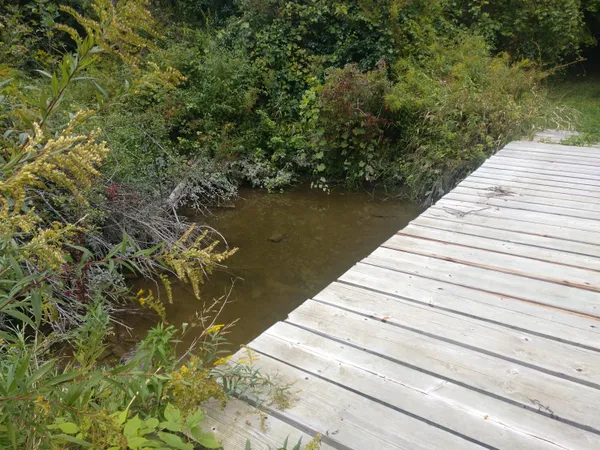 $319,900 | 8653 East Remus Road, Mount Pleasant, MI 48858