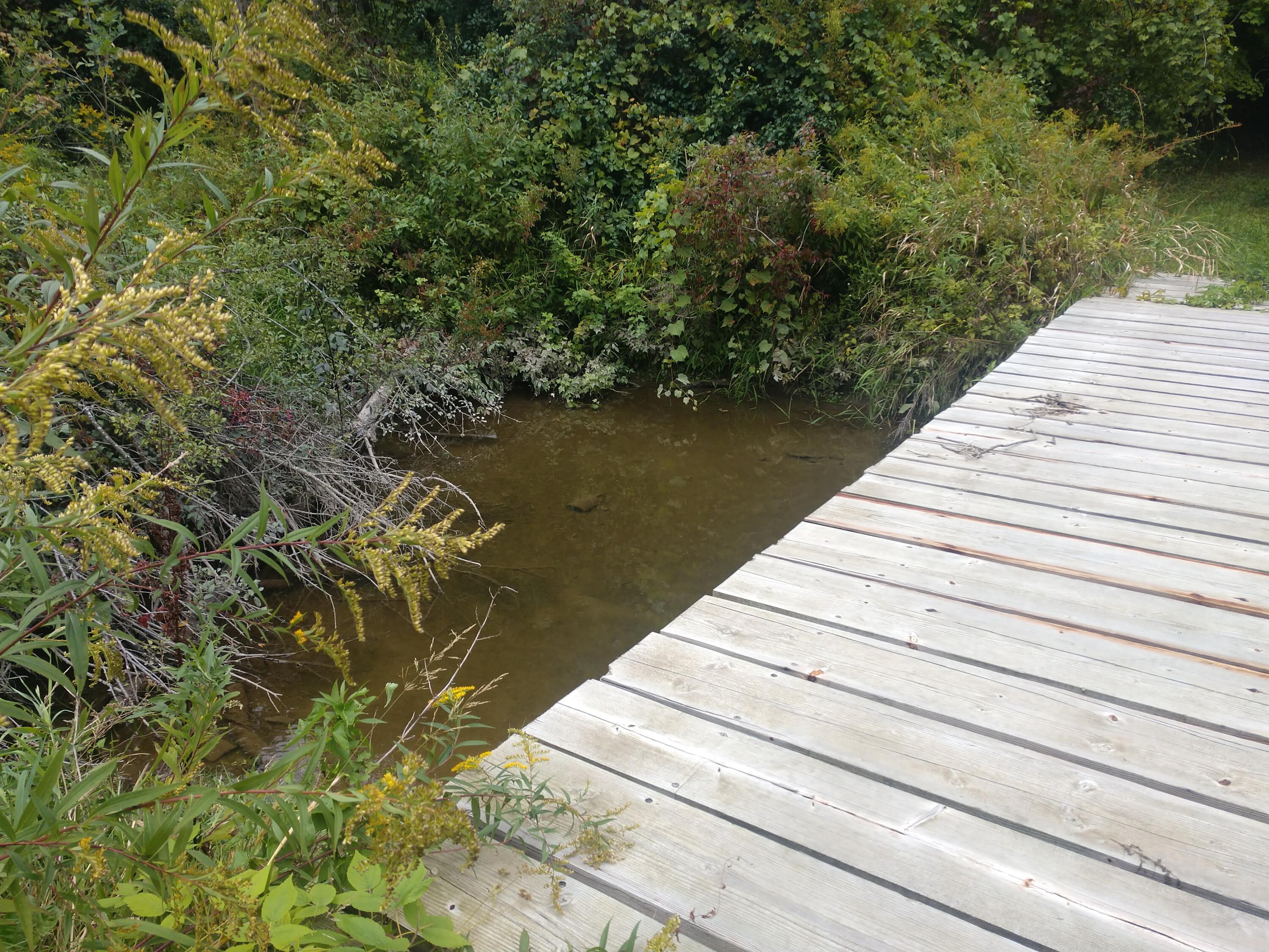 8653 East Remus Road Mount Pleasant, MI 48858 - Photo 14 of 16 IMG_20250906_113259678