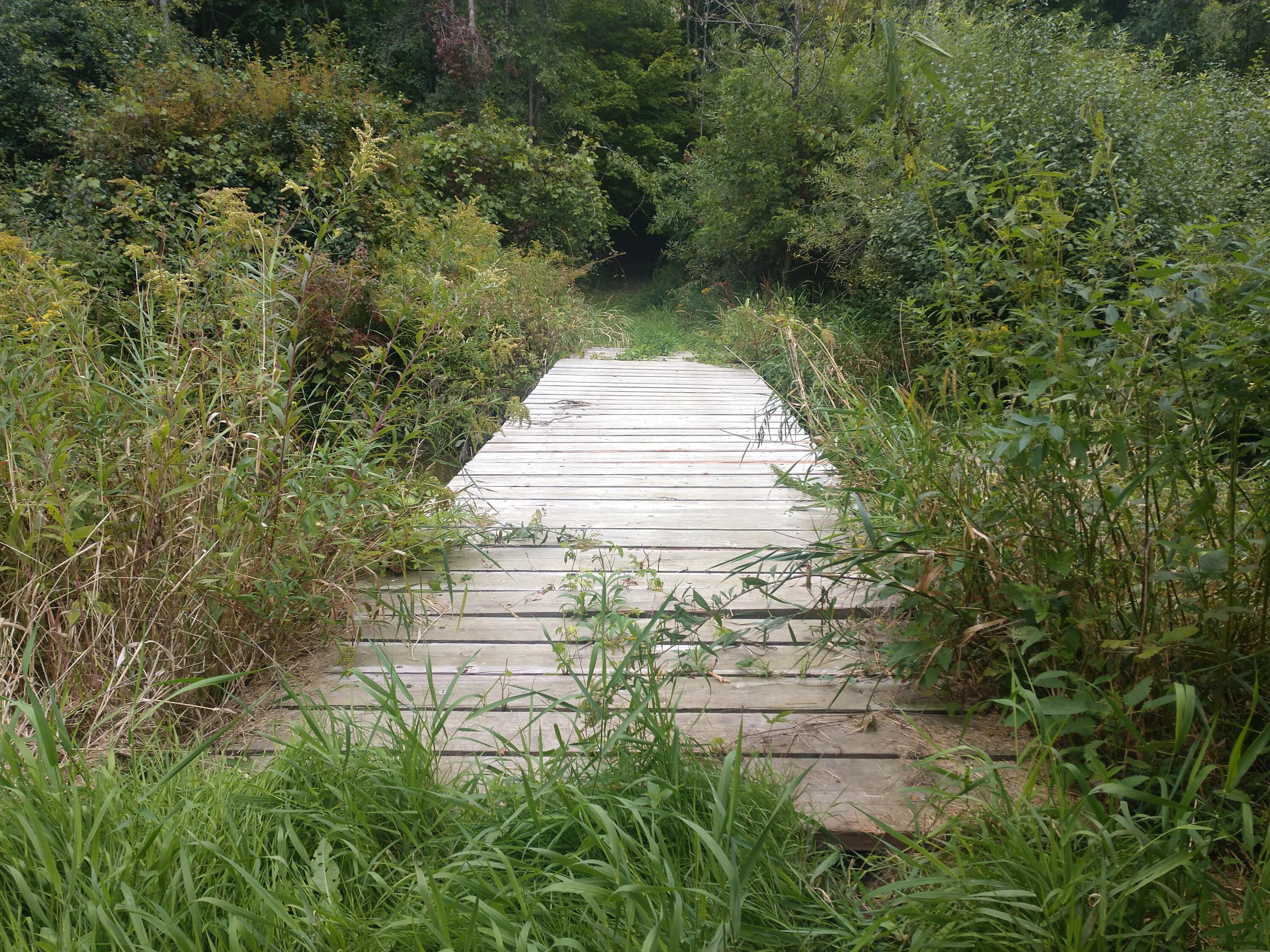 8653 East Remus Road Mount Pleasant, MI 48858 - Photo 15 of 16 IMG_20250906_113246307