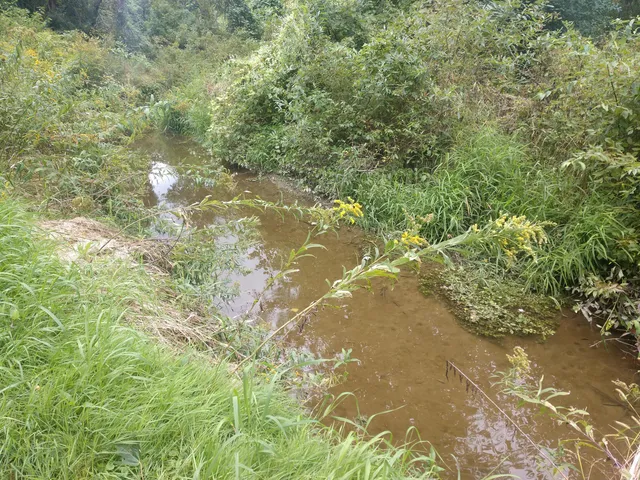 $319,900 | 8653 East Remus Road, Mount Pleasant, MI 48858