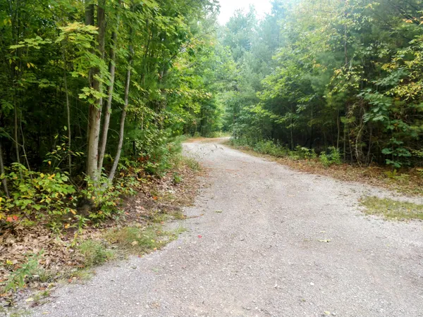 $319,900 | 8653 East Remus Road, Mount Pleasant, MI 48858