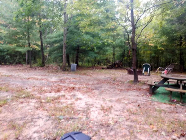 $319,900 | 8653 East Remus Road, Mount Pleasant, MI 48858