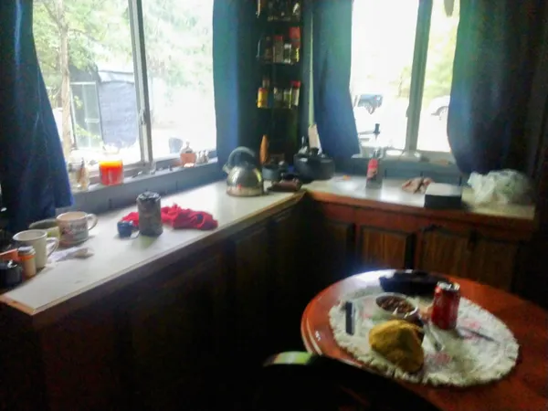 $319,900 | 8653 East Remus Road, Mount Pleasant, MI 48858