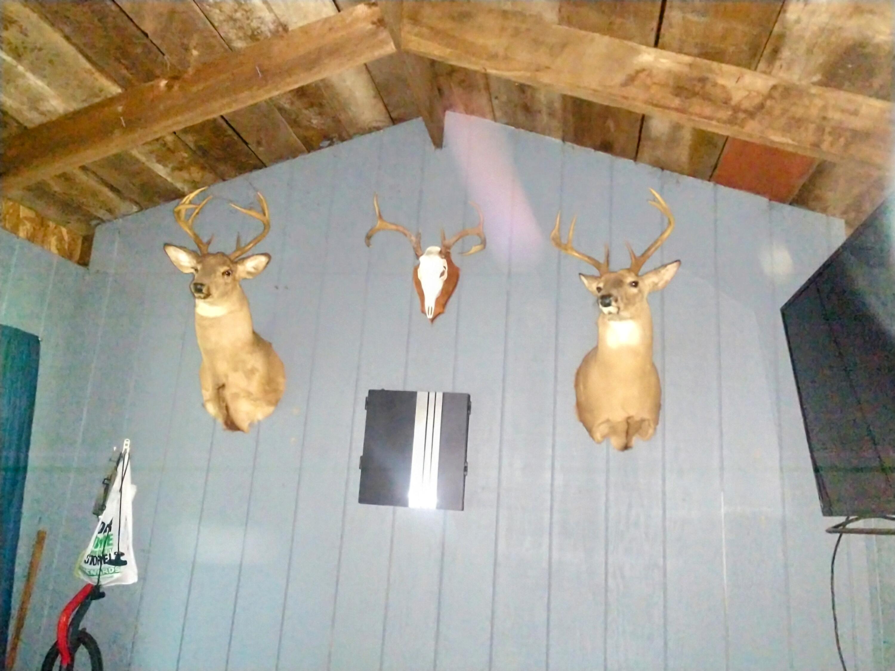 8653 East Remus Road Mount Pleasant, MI 48858 - Photo 8 of 16 IMG_20250906_111906645~2