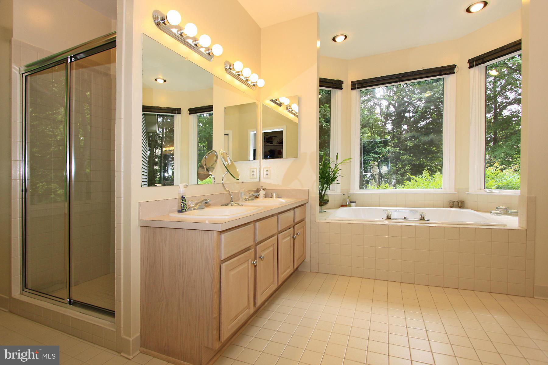 11325 Woodbrook Lane Reston, VA 20194 - Photo 19 of 30 Bath (Master)