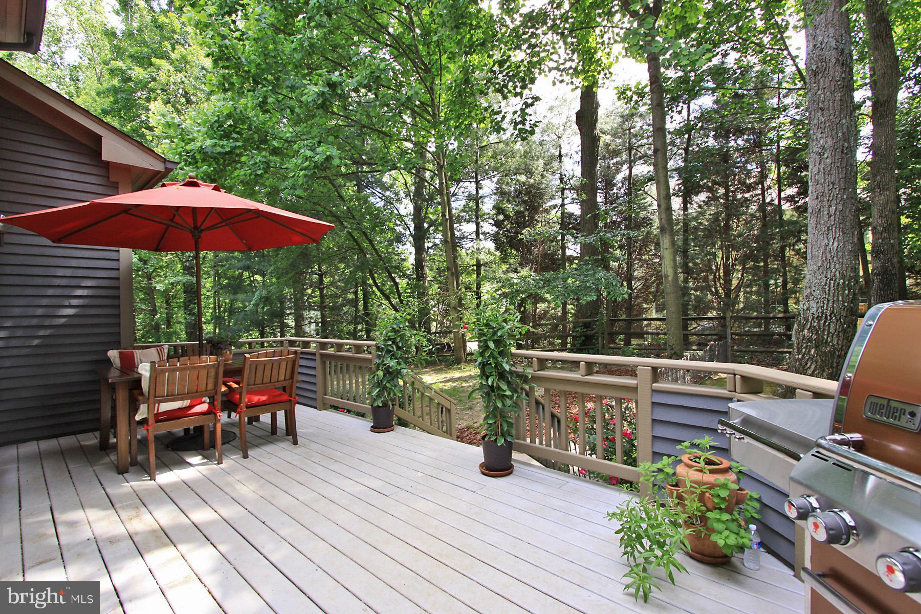 11325 Woodbrook Lane Reston, VA 20194 - Photo 24 of 30 Exterior (Rear)