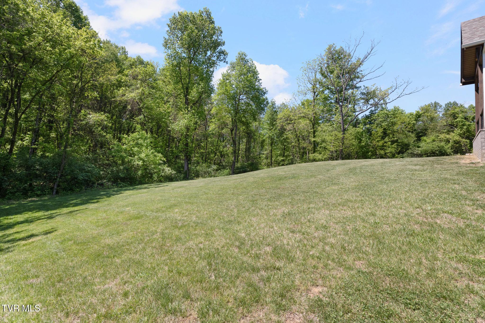 179 Taylortown Road Johnson City, TN 37601 - Photo 53 of 61 Backyard