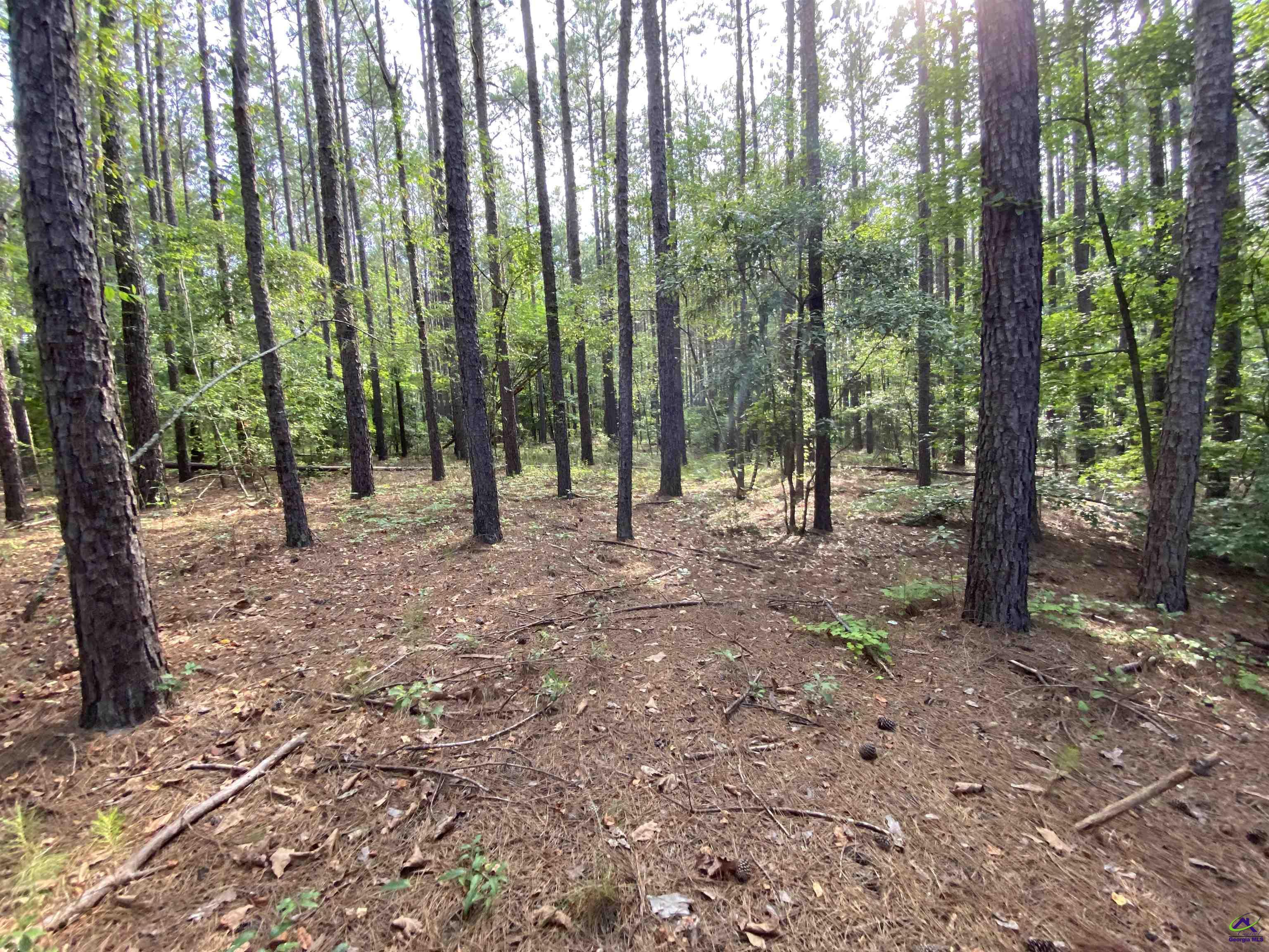 Lot 9 Cherokee Trail Road Eastman, GA 31023 - Photo 6 of 18