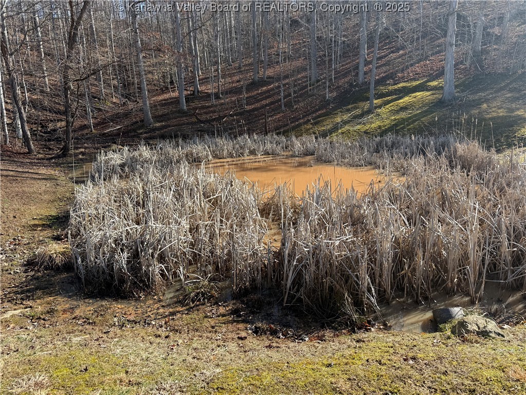 13 Tallwood Road Sod, WV 25564 - Photo 6 of 47 Pond