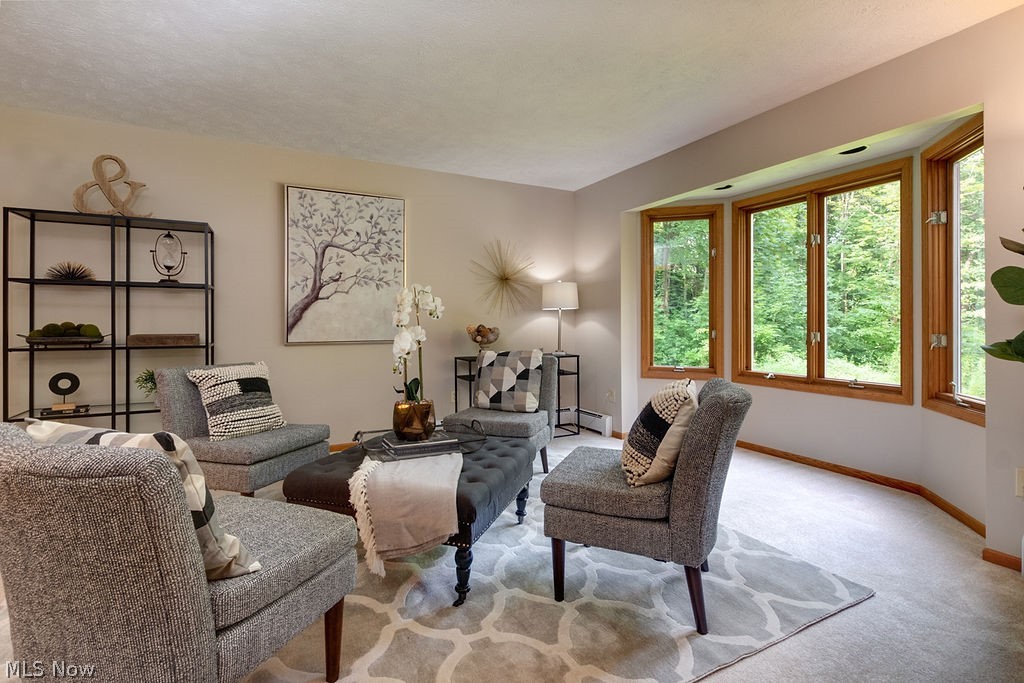 6644 Fay Road Painesville, OH 44077 - Photo 2 of 35 Gallery Image 2