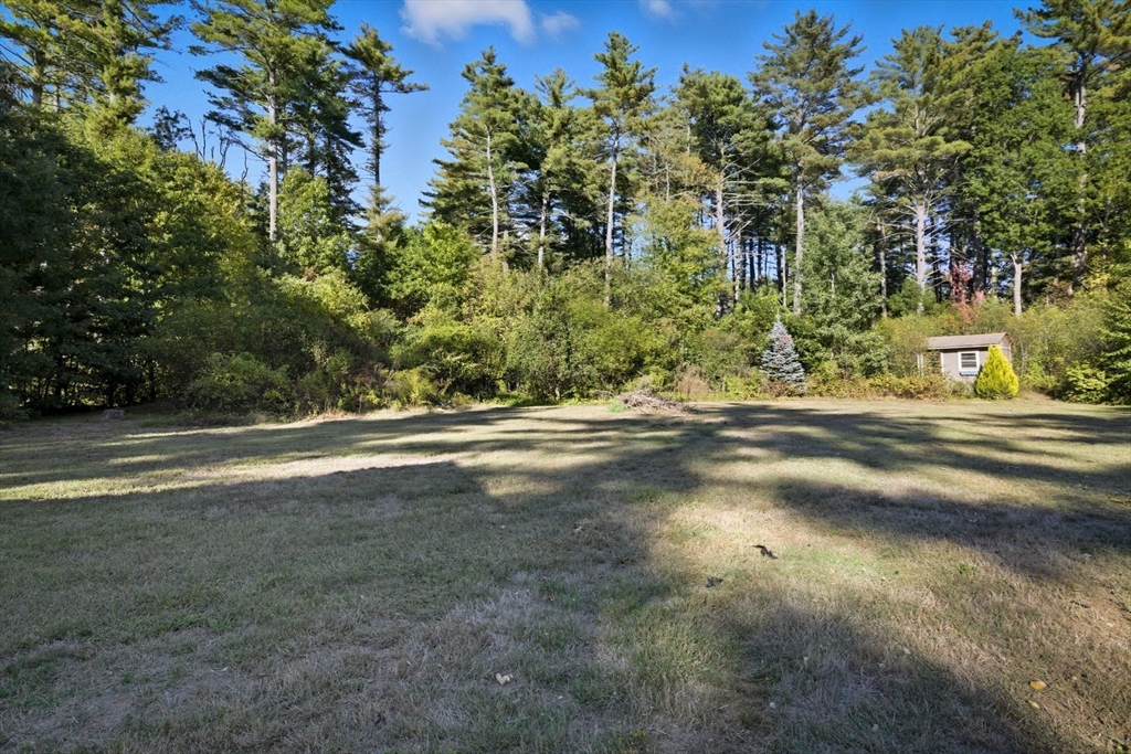 5 Charles Street Georgetown, MA 01833 - Photo 36 of 36 a view of a yard with a tree