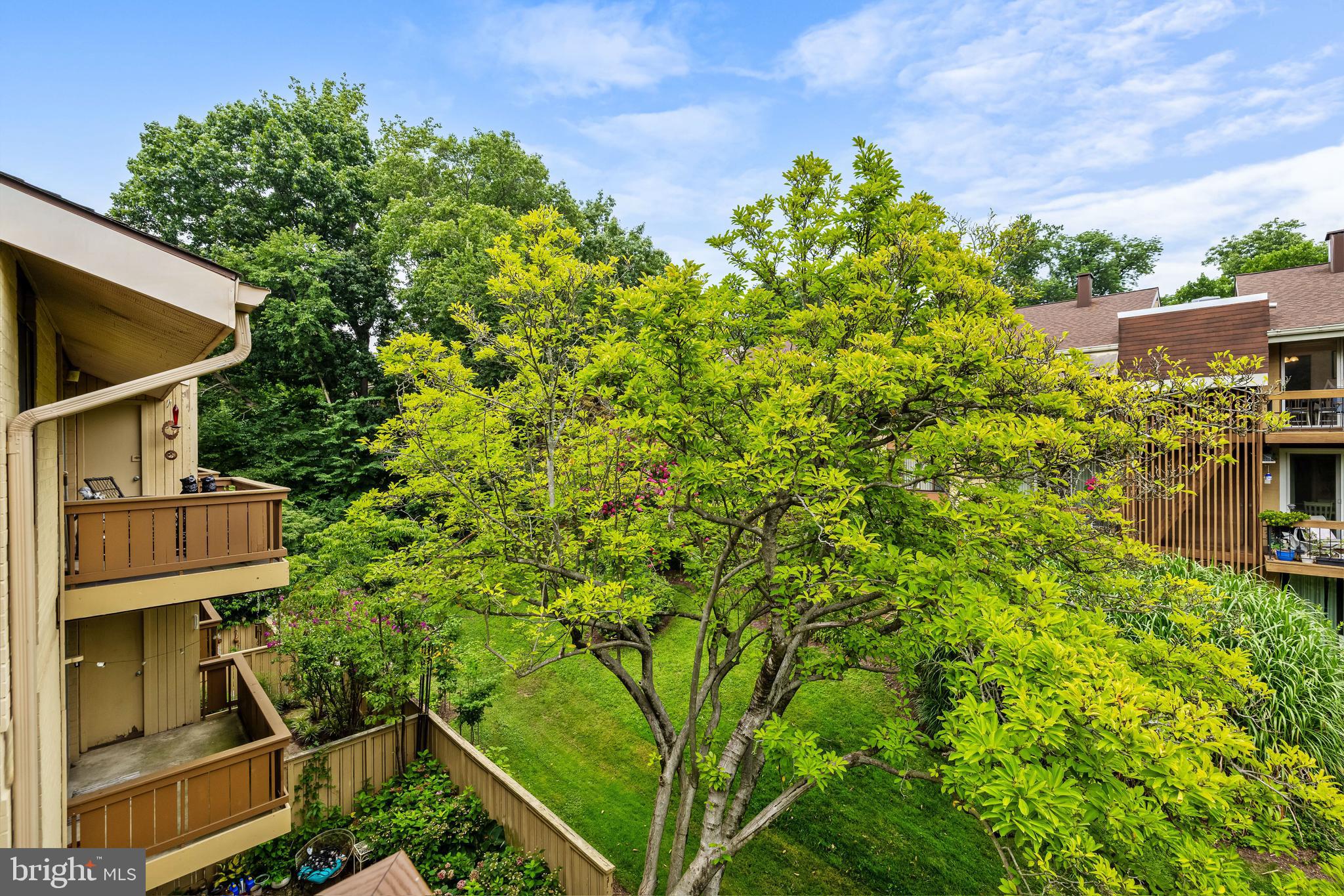 11 Hamill Road, Unit 11E Baltimore, MD 21210 - Photo 30 of 32 Treetops