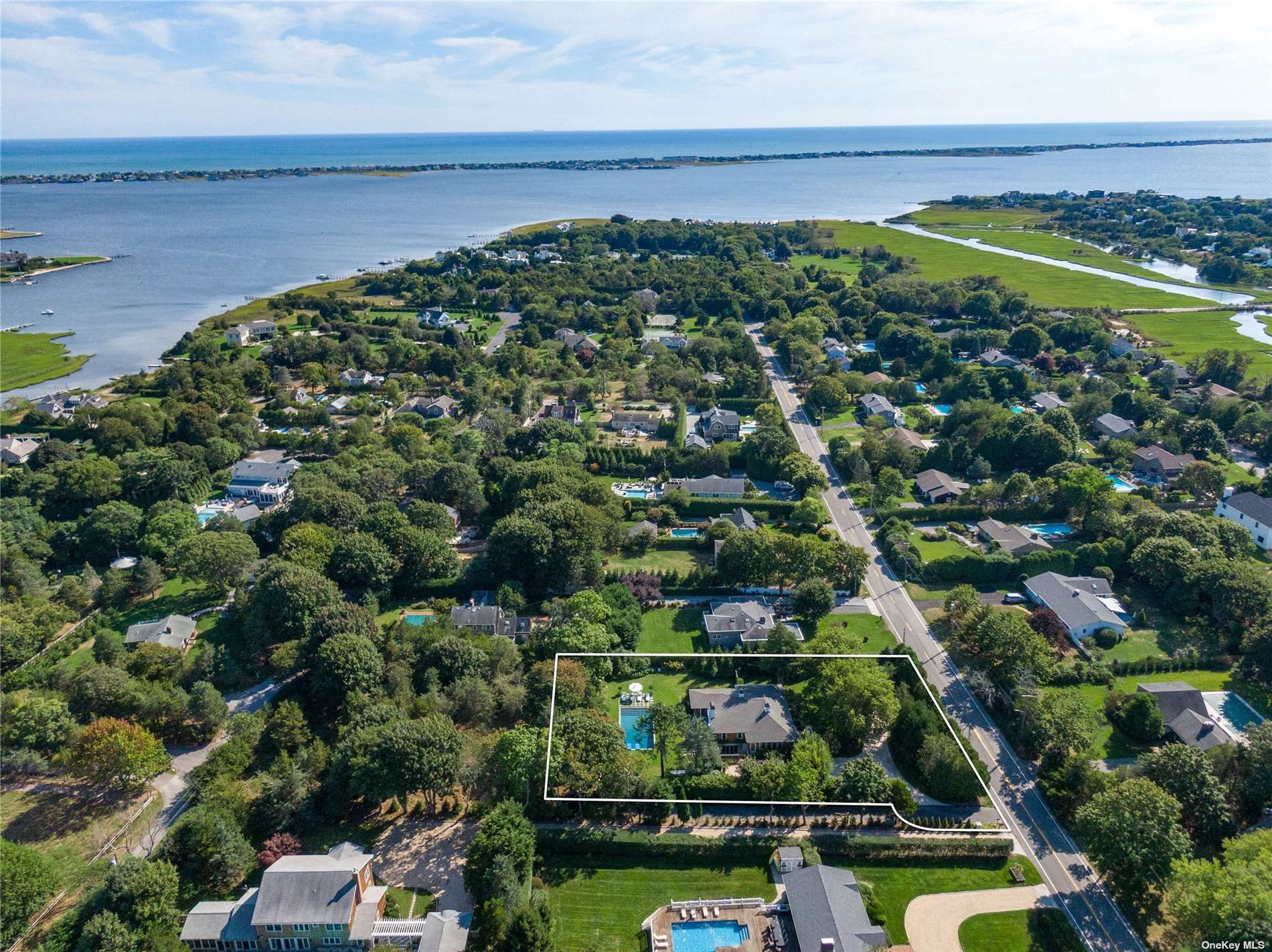 an aerial view of residential houses with outdoor space and swimming pool