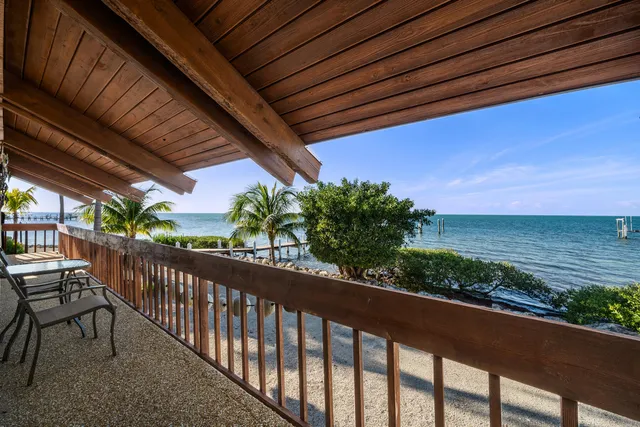 a view of a garden with plants