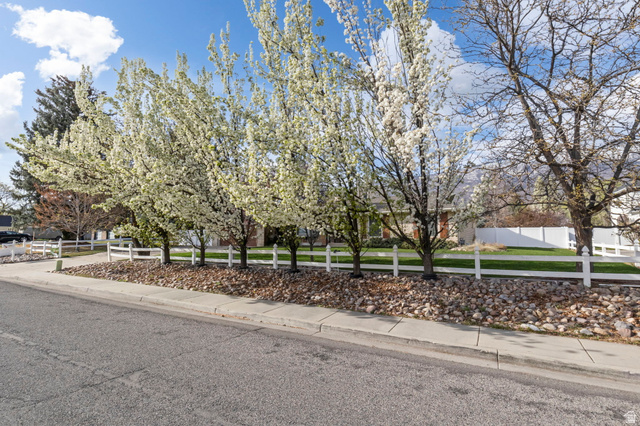499 East 300 North Alpine, UT 84004 - Photo 7 of 53