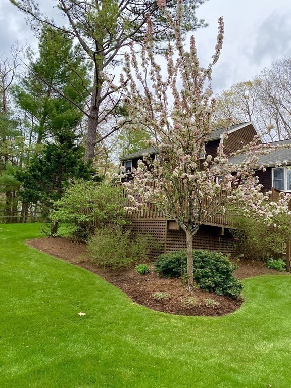 80 Jackman Street Georgetown, MA 01833 - Photo 36 of 42 Gallery Image 36