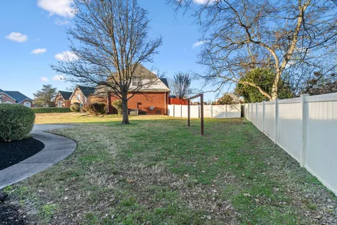 a view of yard with tree