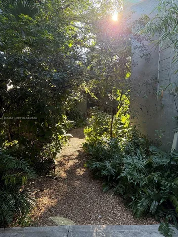 a view of path plants