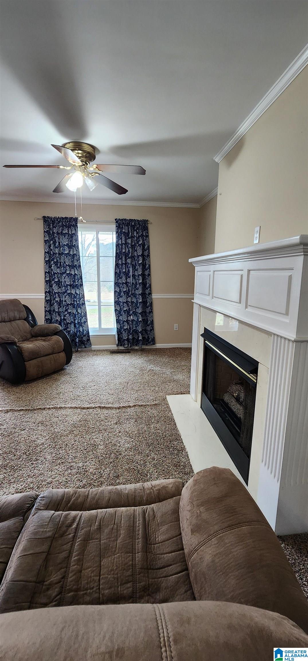 352 Kudzu Road Oneonta, AL 35121 - Photo 8 of 57