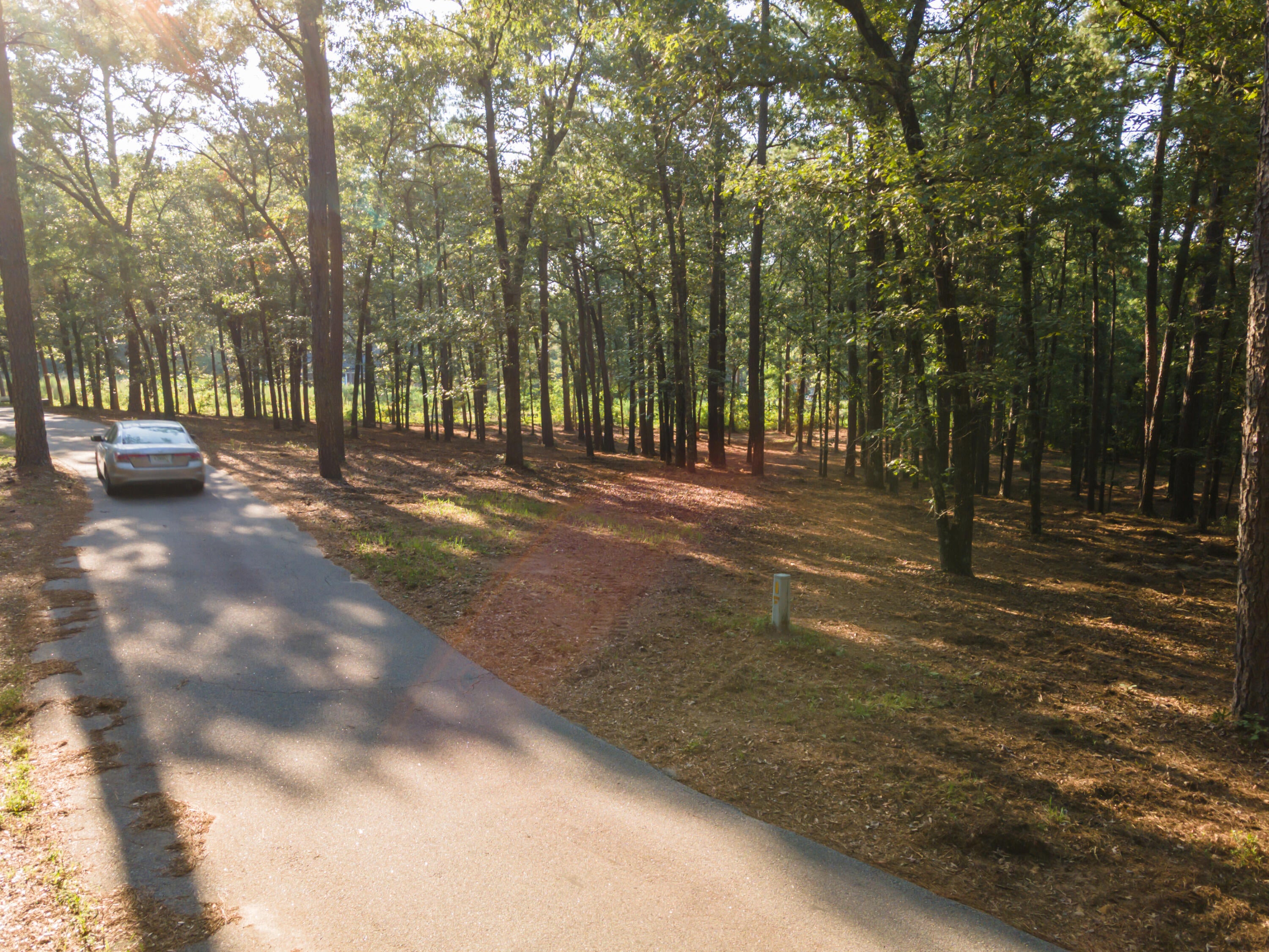 Tbd Edisto Lake Road, Unit 39 Wagener, SC 29164 - Photo 36 of 39 Gallery Image 36