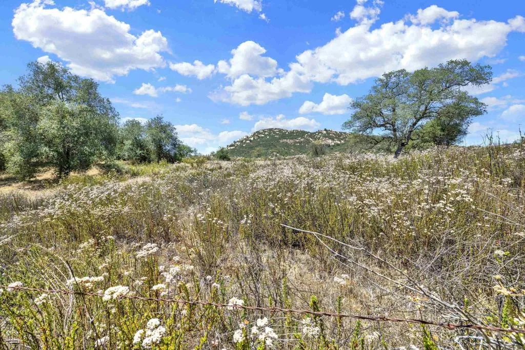 5 Honey Springs Road Jamul, CA 91935 - Photo 9 of 21