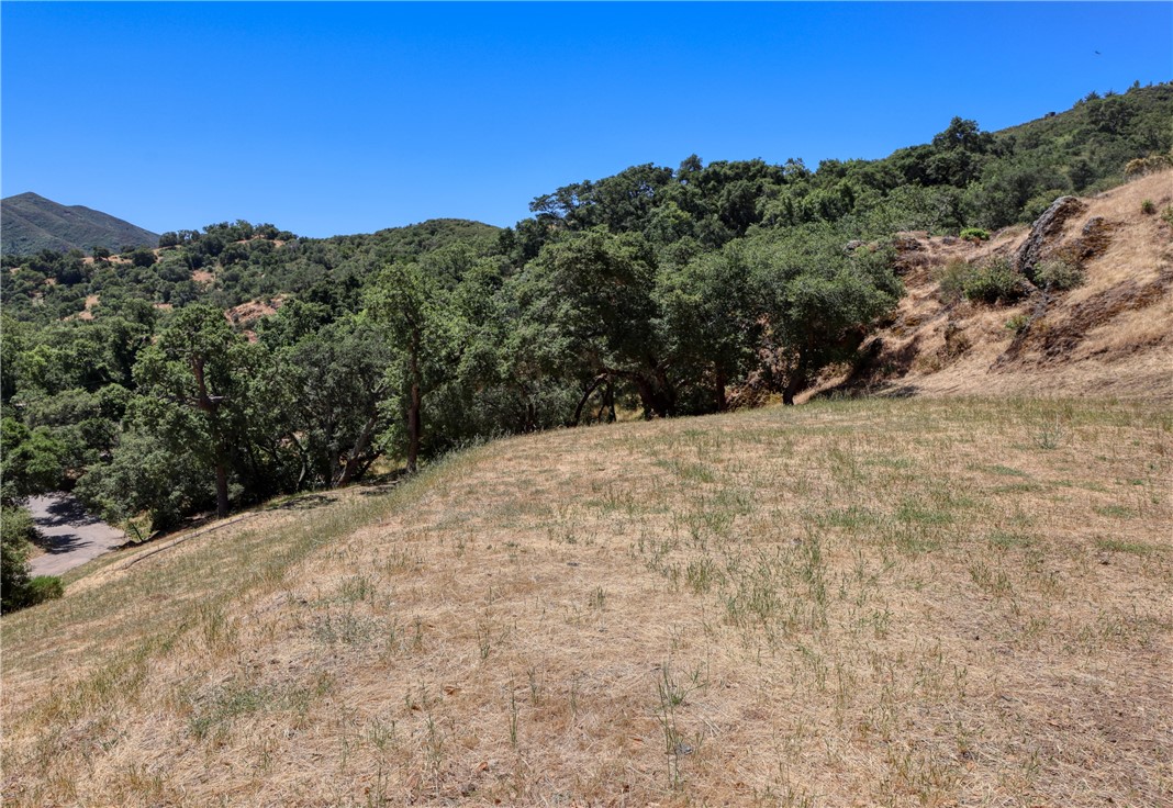 13025 Old Morro Road Atascadero, CA 93422 - Photo 1 of 1 Building Site